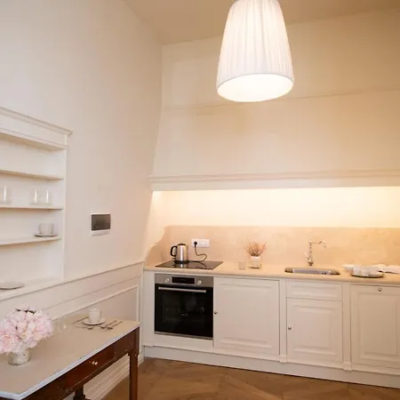 New Maison Allegra Just In Front Pitti Palace Apartment Florence